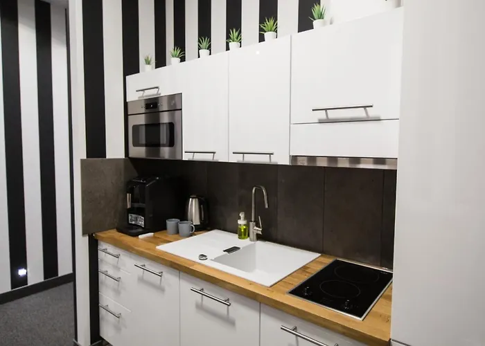 בית אירוח N°50 *