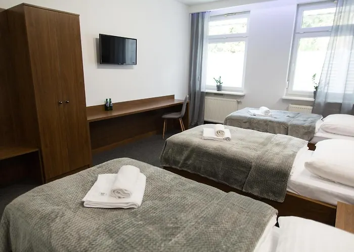 N°50 ホームステイ *